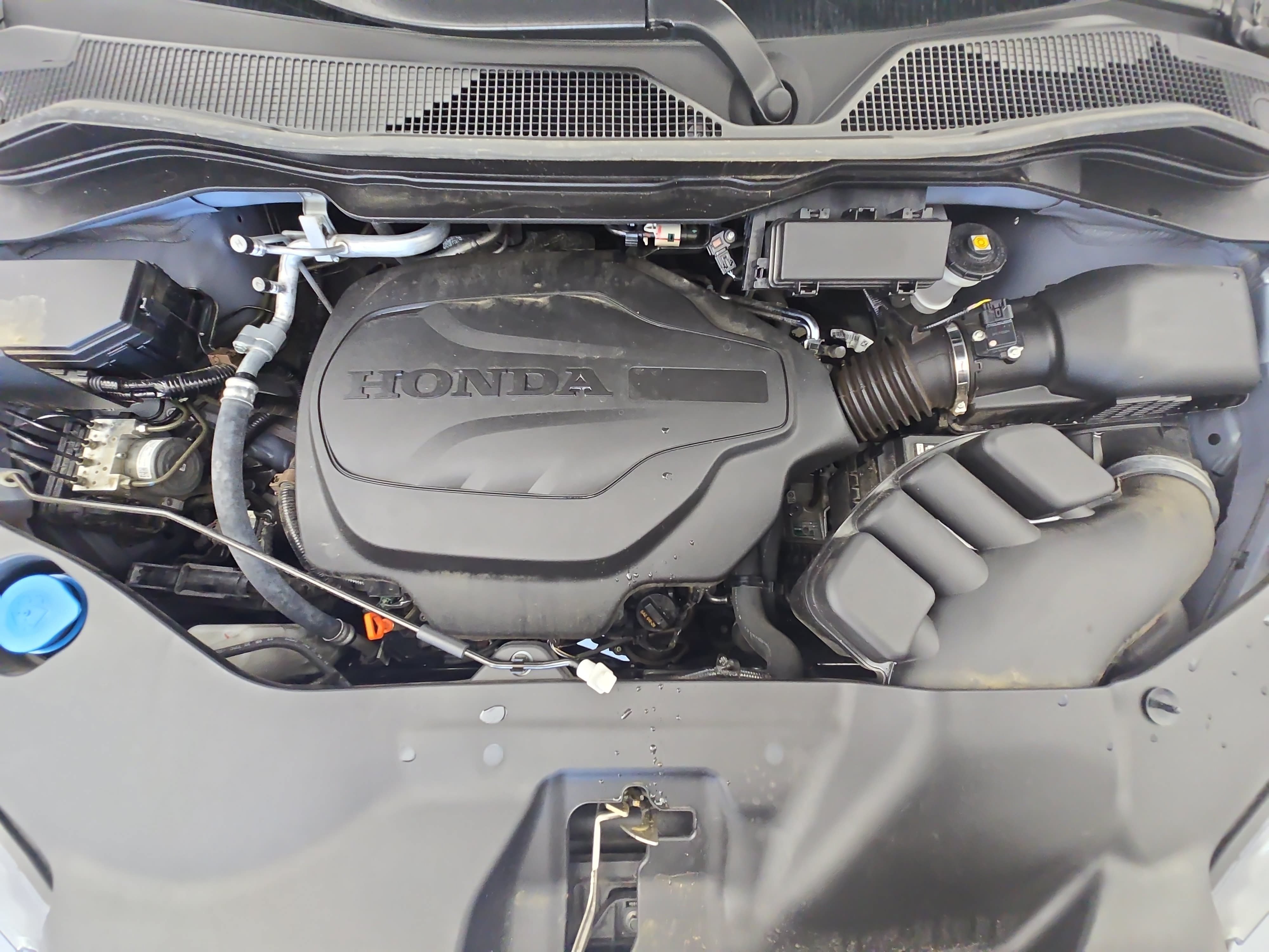 Used 2024 Honda Passport Black Edition image 31