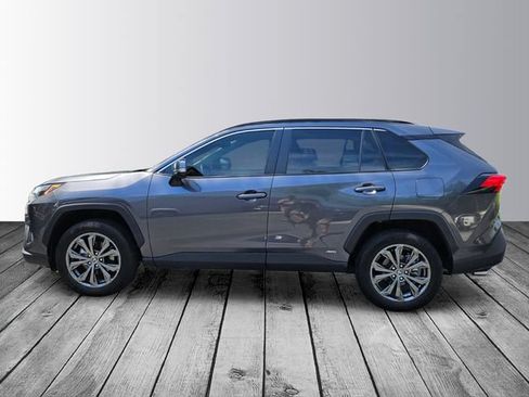 Used 2025 Toyota RAV4 XLE Premium w/ Weather Package AWD/4WD image 2