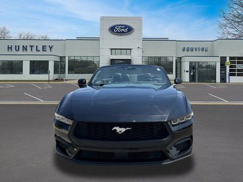 Used 2024 Ford Mustang Premium RWD image 2