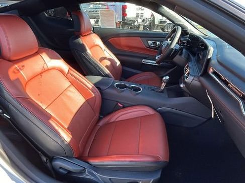 New 2025 Ford Mustang GT Premium w/ Mustang Nite Pony Package image 11