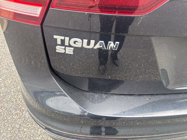 Used 2021 Volkswagen Tiguan SE AWD/4WD image 3