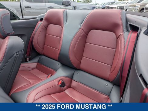 New 2025 Ford Mustang Premium image 15