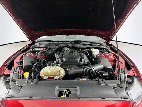 Used 2017 Ford Mustang Premium w/ Wheel & Stripe Package image 30