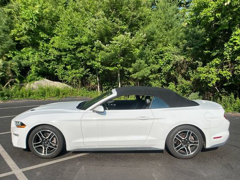Used 2021 Ford Mustang Premium RWD image 2