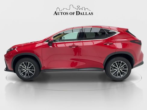 Used 2025 Lexus NX 250 FWD w/ Cold Area Package image 5
