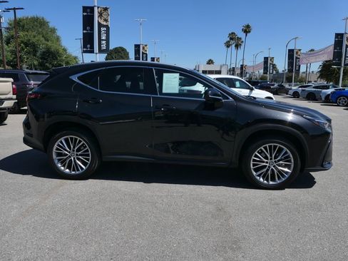 Used 2025 Lexus NX 350h AWD w/ Cold Area Package image 3