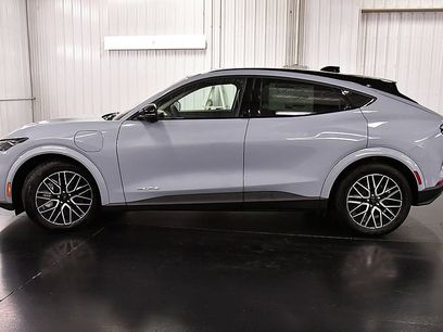 Used 2026 Ford Mustang Mach-E Premium