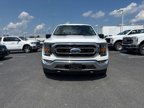 Used 2021 Ford F150 XLT w/ Equipment Group 302A High AWD/4WD image 5