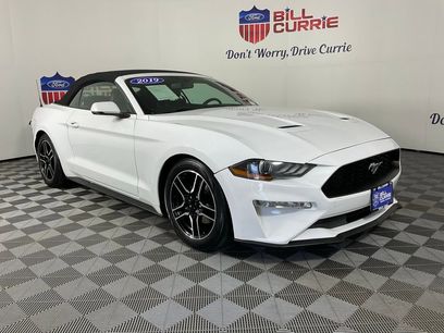 Used 2019 Ford Mustang Premium