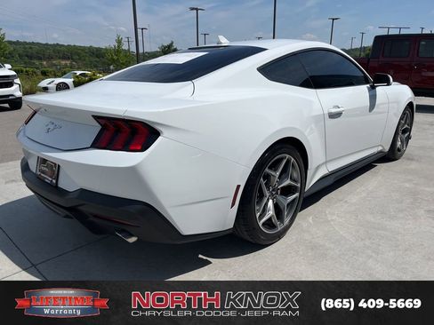 Used 2025 Ford Mustang Coupe RWD image 15