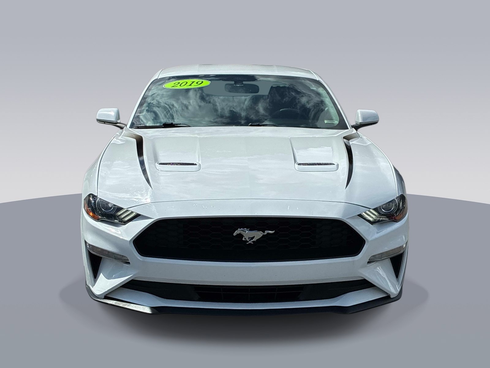 Used 2019 Ford Mustang Coupe RWD image 2