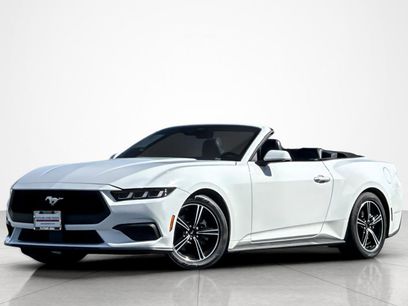 Used 2025 Ford Mustang Premium