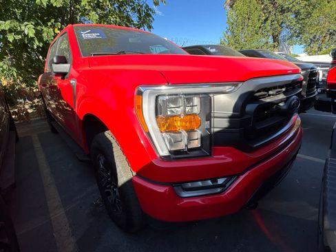 Certified 2023 Ford F150 XLT w/ Equipment Group 302A High AWD/4WD image 2