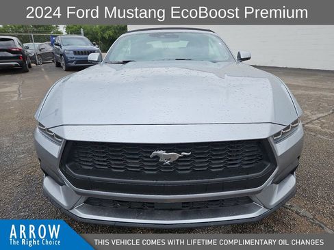 Used 2024 Ford Mustang Premium RWD image 3