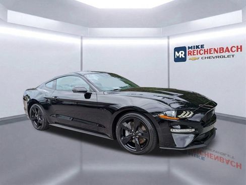 Used 2022 Ford Mustang GT Premium w/ Equipment Group 401A RWD image 2