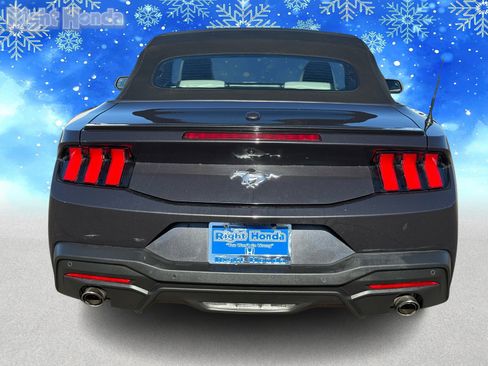 Used 2024 Ford Mustang Premium image 6