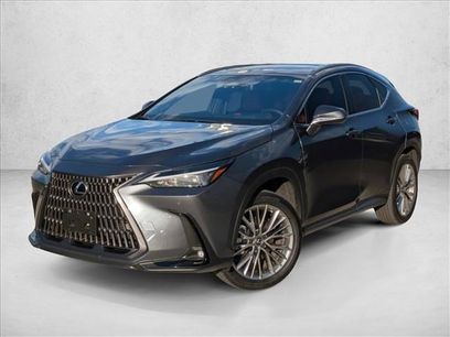 Used 2025 Lexus NX 350h AWD w/ Premium Package
