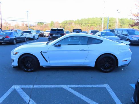 Used 2016 Ford Mustang Shelby GT350 w/ Technology Package image 8