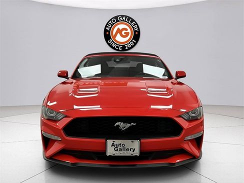 Used 2023 Ford Mustang Premium image 2