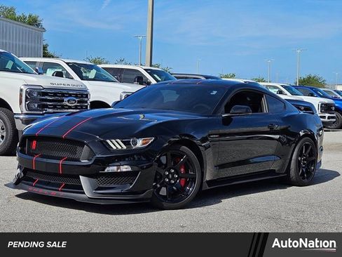 Used 2019 Ford Mustang Shelby GT350R w/ GT350R Equipment Group 920A RWD image 1