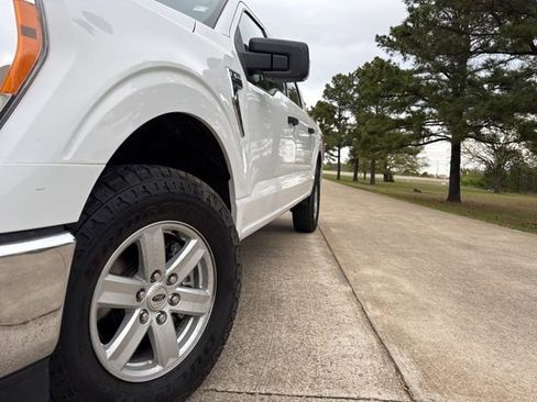 Used 2021 Ford F150 XLT w/ Equipment Group 301A Mid image 8