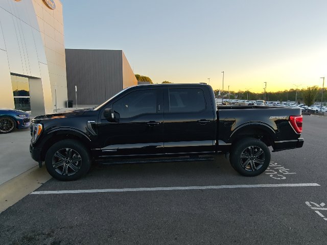 Used 2023 Ford F150 XLT w/ Equipment Group 302A High AWD/4WD image 6