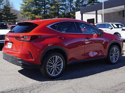 Used 2025 Lexus NX 350 AWD w/ Cold Area Package image 10