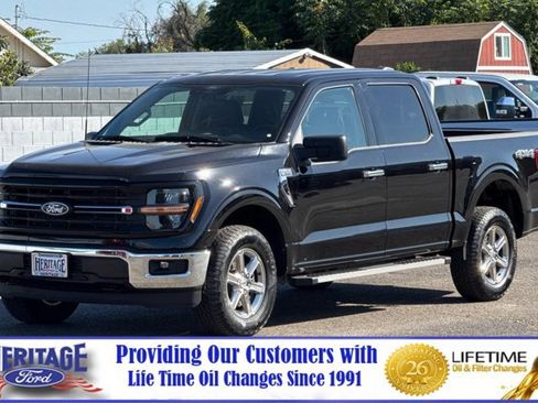 Used 2025 Ford F150 XLT w/ Equipment Group 301A Standard AWD/4WD image 8