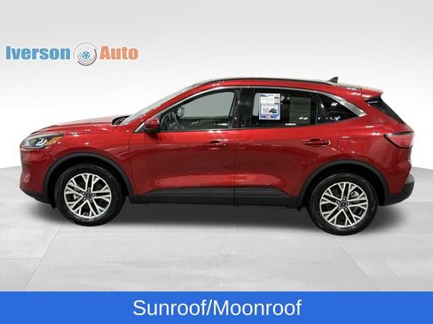 Used 2022 Ford Escape SEL w/ Technology Package image 6