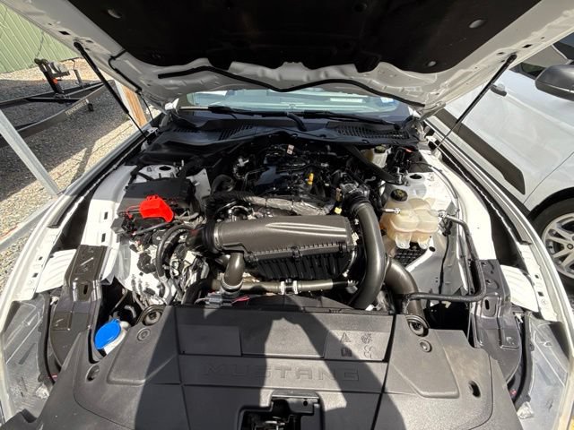 Used 2024 Ford Mustang Premium RWD image 19
