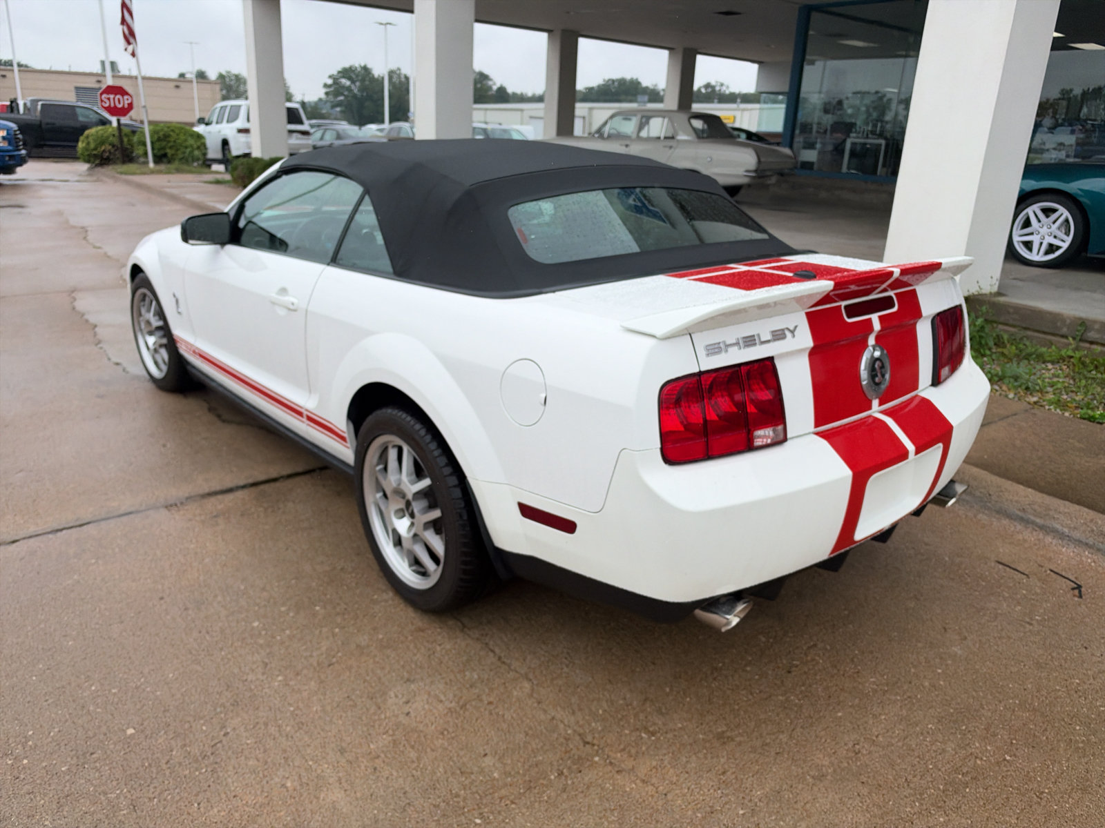 Used 2008 Ford Mustang Shelby GT500 RWD image 8