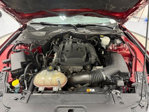 Used 2017 Ford Mustang Premium w/ Equipment Group 201A image 44