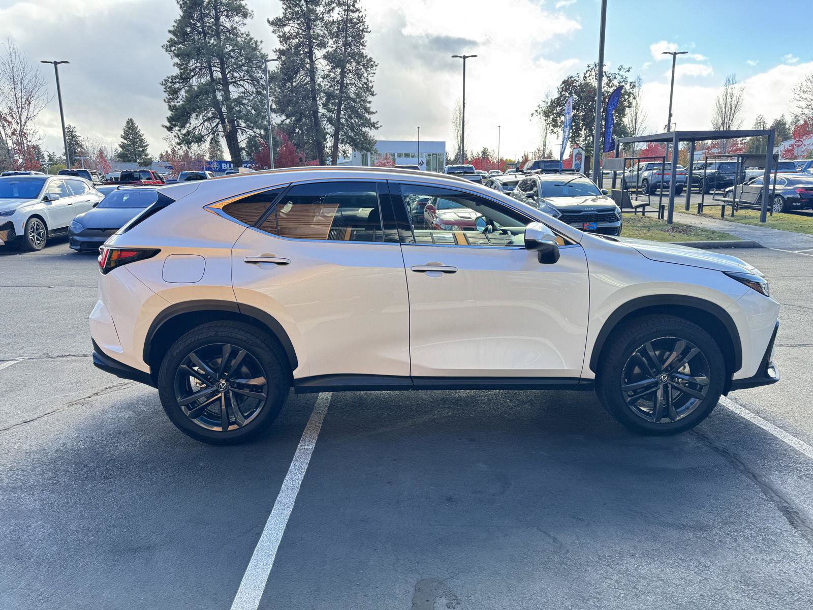 Used 2023 Lexus NX 450h+ AWD image 6