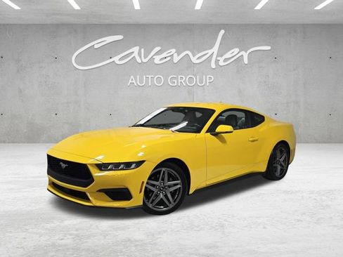 Used 2024 Ford Mustang Premium image 1