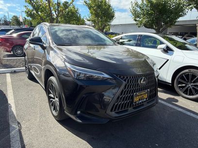Used 2024 Lexus NX 350h AWD