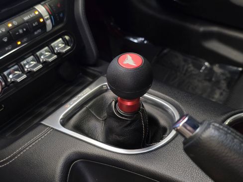 Used 2019 Ford Mustang GT Premium w/ Equipment Group 401A RWD image 4