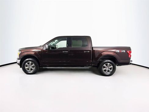 Used 2019 Ford F150 XLT w/ Equipment Group 302A Luxury AWD/4WD image 8