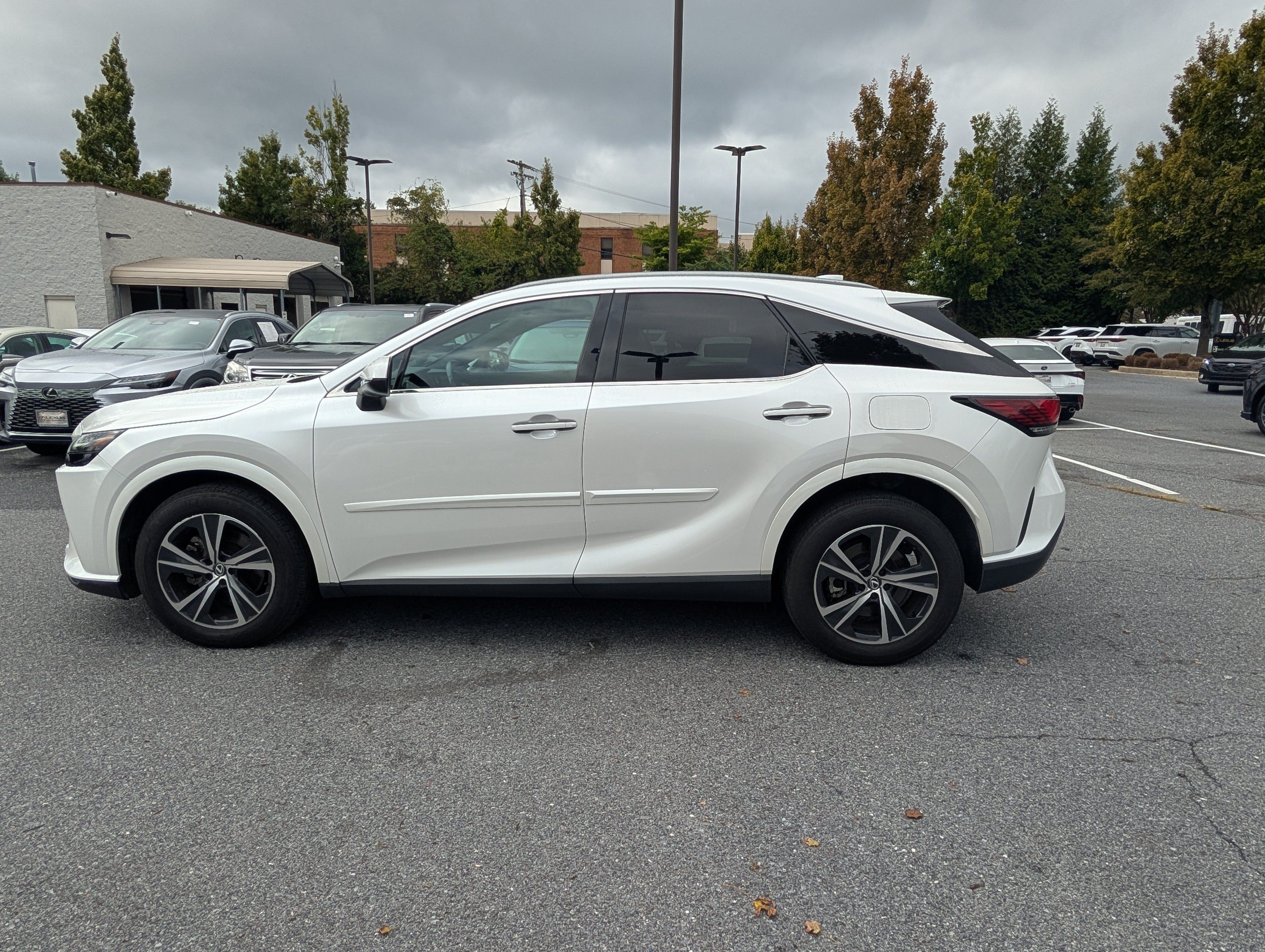 Used 2024 Lexus RX 350 Premium w/ Accessory Package (P2) AWD/4WD image 6