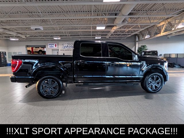 Used 2023 Ford F150 XLT w/ Equipment Group 302A High AWD/4WD image 10