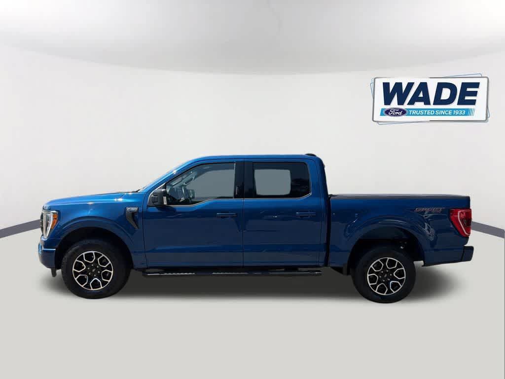 Used 2023 Ford F150 XLT w/ Equipment Group 302A High AWD/4WD image 8