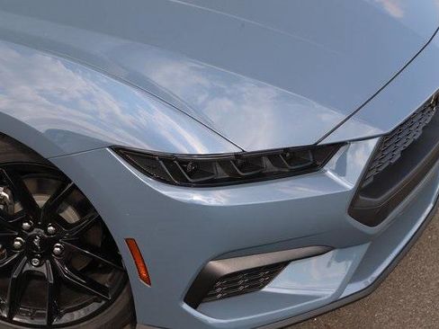 New 2025 Ford Mustang EcoBoost 2D Convertible w/ Mustang Nite Pony Package image 2