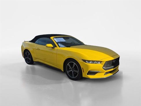 Used 2024 Ford Mustang Premium image 2