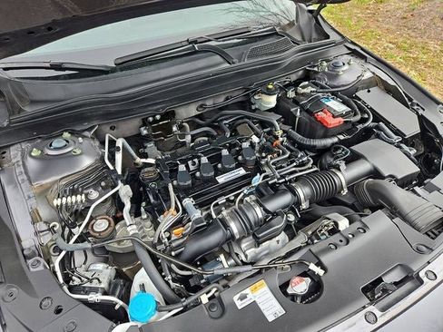 Used 2019 Honda Accord EX-L image 33