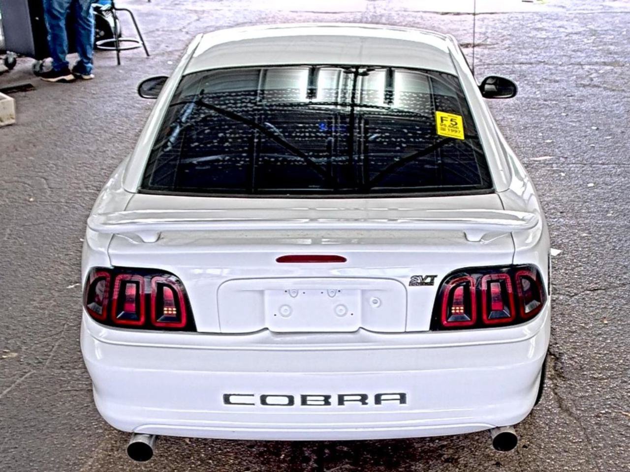 Used 1997 Ford Mustang Cobra RWD image 4