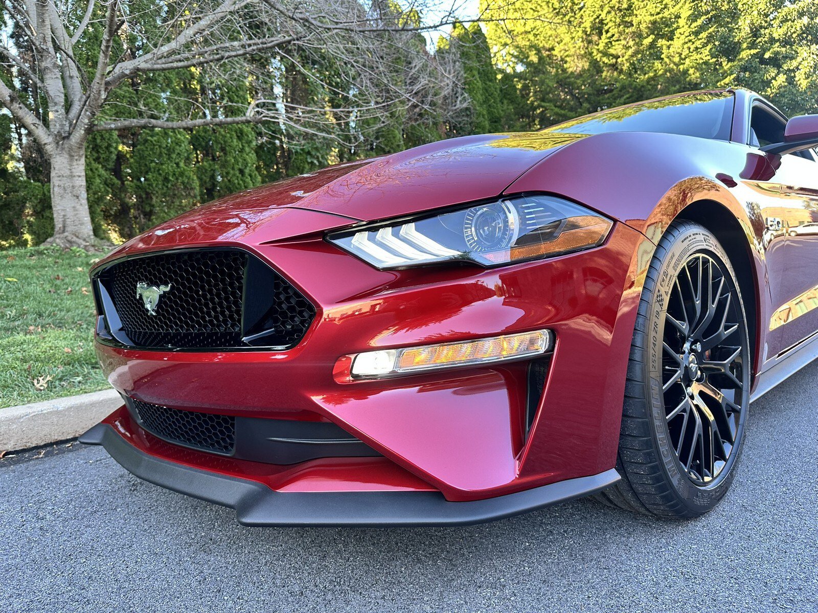 Used 2019 Ford Mustang GT Premium w/ GT Performance Package RWD image 72