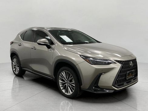 Certified 2022 Lexus NX 350h AWD image 1