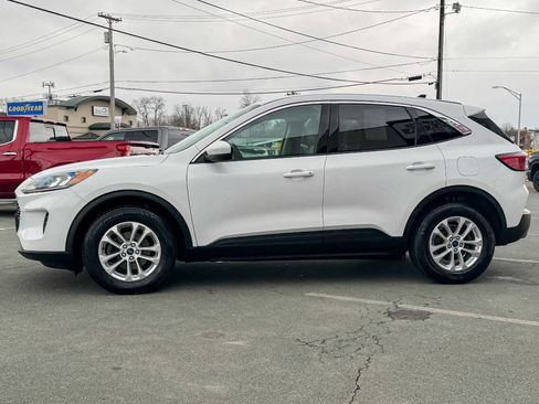 Used 2020 Ford Escape SE image 7