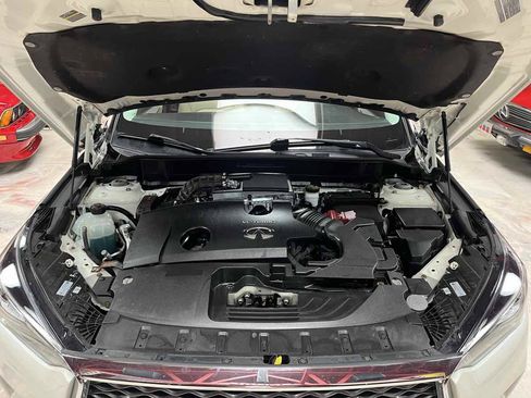 Used 2019 INFINITI QX50 Luxe w/ Cargo Package AWD/4WD image 36