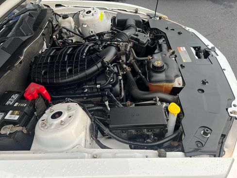 Used 2011 Ford Mustang Coupe w/ 101A Rapid Spec Order Code image 33