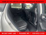 New 2025 Ford Escape ST-Line w/ Tech Pack #1 image 6